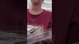 Harry Potter Wizarding World ASMR #tappingasmr #tappingasmr #whispering
