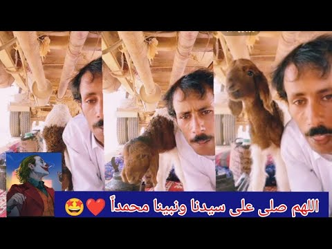 بث نايف الشراري نايف الشراري 