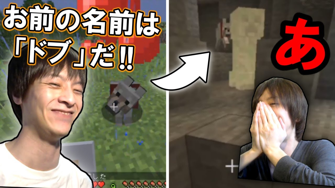 おえちゃんと愛犬「ドブ」の物語【2021/06/19】