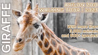 AVILON ZOO WALKING TOUR 2023