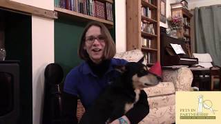 Pets In Partnership - Separation Anxiety Alert by Pets In Partnership 894 views 4 years ago 13 minutes, 20 seconds