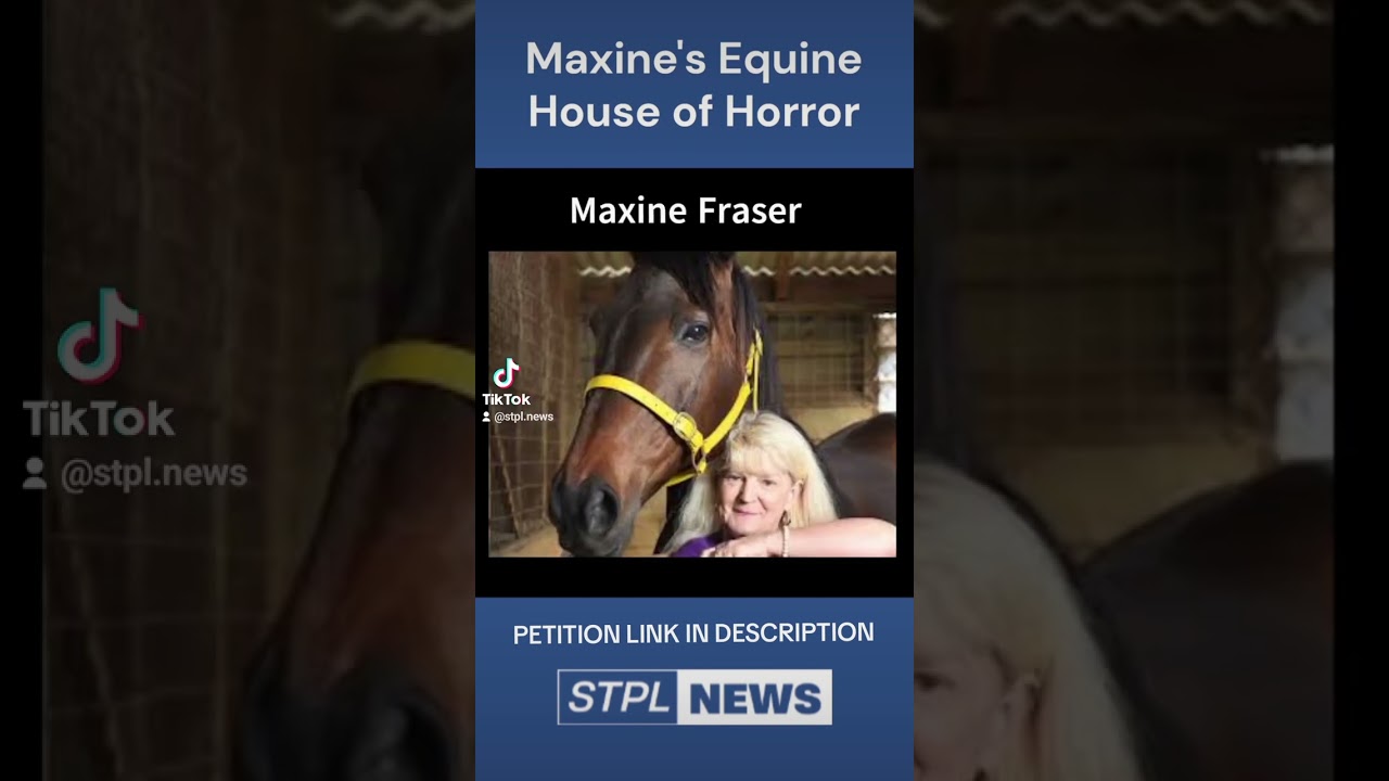 Parliamentary Petition Launched Over Mt Eliza Horse Welfare Crisis