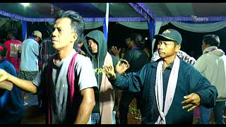 TAYUB TUBAN : KOPI J   ULAR PUTIH