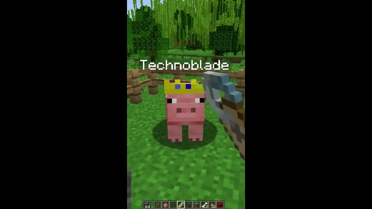 Technoblade Never Dies ❤❤ #shorts #minecraft #minecraftshorts #technoblade #technobladeneverdies