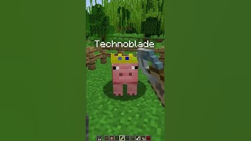Thumbnail of Technoblade Never Dies ❤❤ #shorts #minecraft #minecraftshorts #technoblade #technobladeneverdies