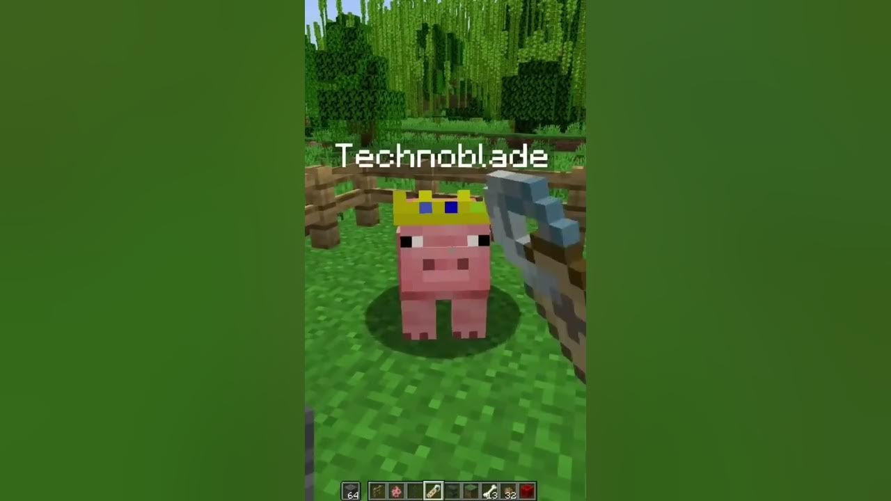 Technoblade Never Dies ❤❤ #shorts #minecraft #minecraftshorts #technoblade #technobladeneverdies