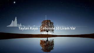 Taylan Kaya - Cebimde 10 Liram Var [ Remix ] Resimi