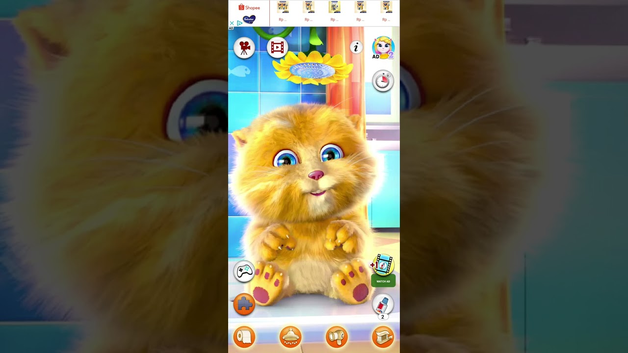 i love cat gingher funny cat LoL