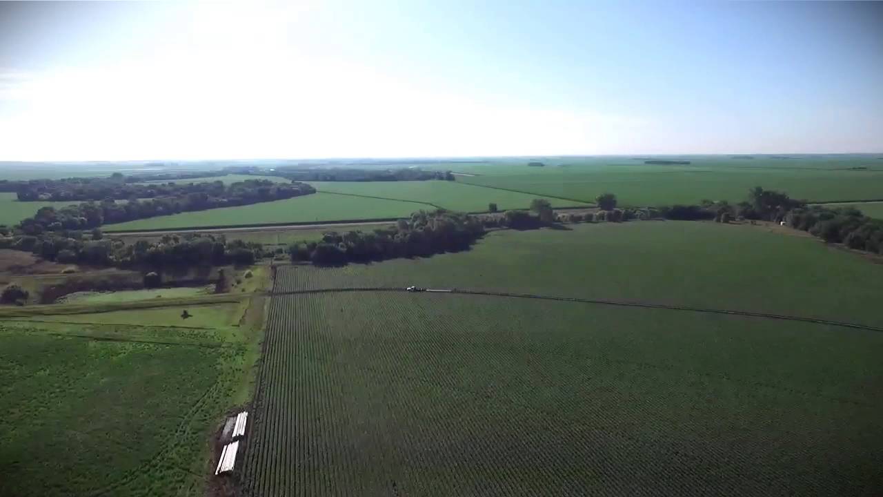 Potter Farms Summer YouTube