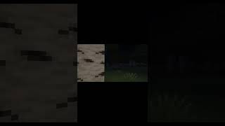 One Who Watches haunts me #shorts  #minecraft #OneWhoWatches #dweller #horrorcraft #mods