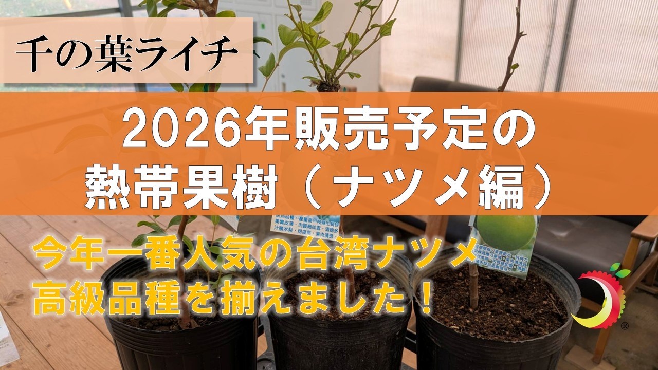 ライチのメンバーシップを開始します】メンバー特典のご紹介！ - YouTube