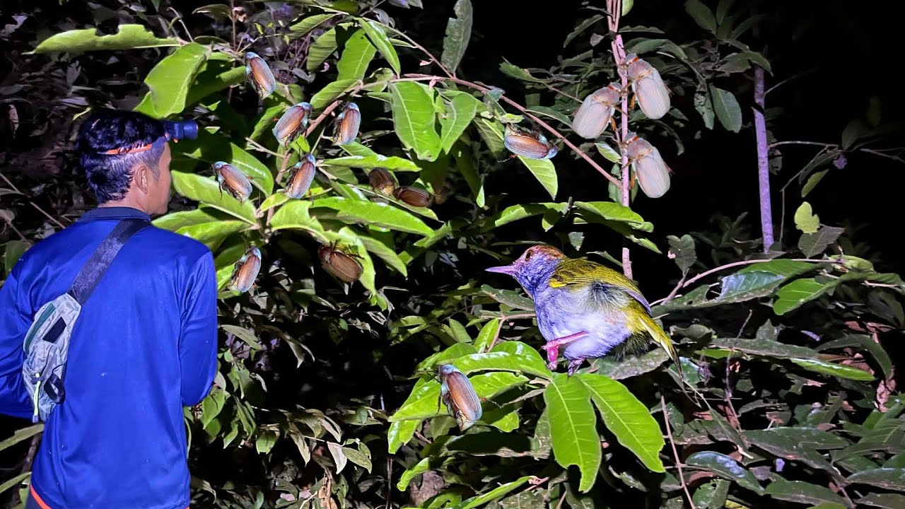 ส่องจินูนวันนี้หมานๆจ้า25กพ/2569