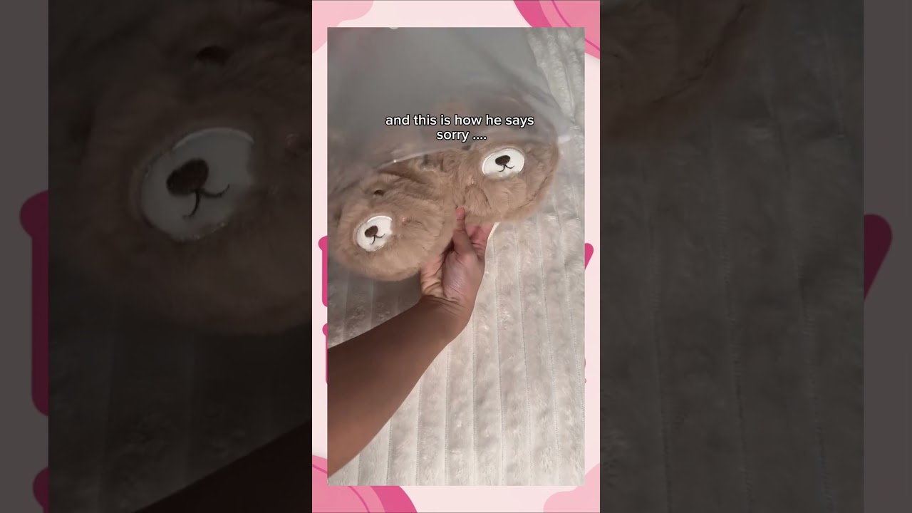 Teddy Bra Chic Collection | Premium Lingerie for Stylish Women 