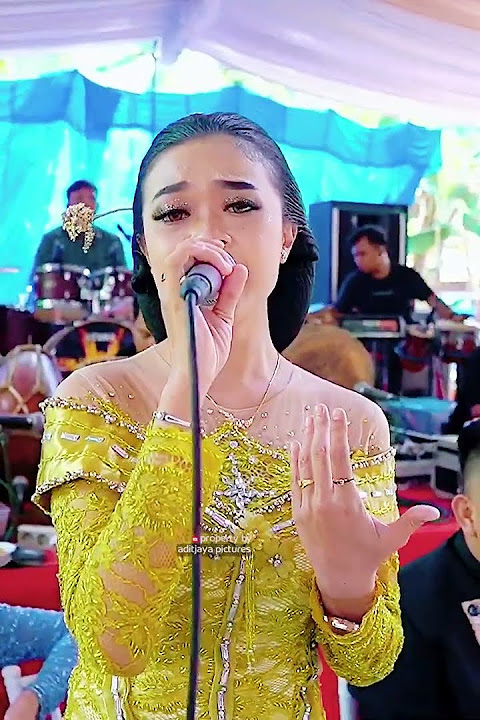CAMELIA - RHIYA VIOLINA - ARIZTA MUSIC JANDHUT // ALFA AUDIO 2
