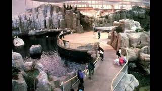 How Much Time Should You Spend At The Montreal Biodome