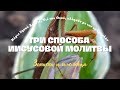 Три способа Иисусовой молитвы || Иисусова молитва