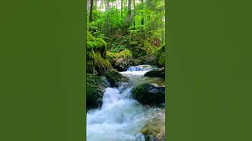 سورة الاخلاص #سورة_الإخلاص #القرآن_الكريم #ikhlas #egzonibrahimi #القرآن #المصحف #الرحمن #القرآن