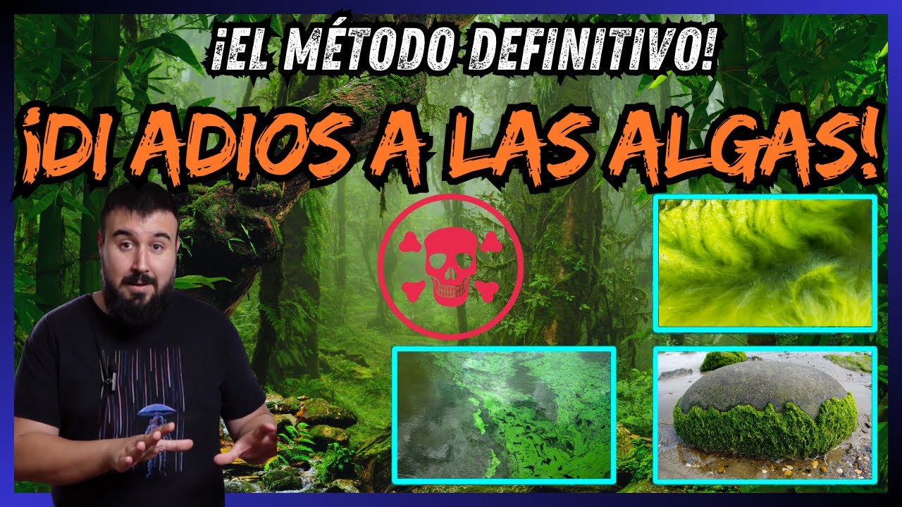 ELIMINA TODAS las ALGAS del ACUARIO con este METODO UNICO. 100% EFICAZ y BARATO.