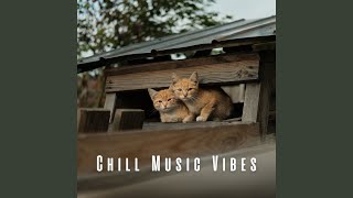 Soothing Cat Harmony
