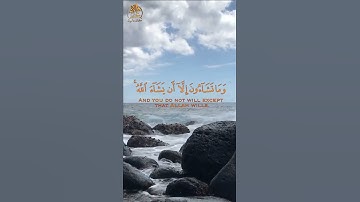 قرأن كريم | ما تيسر من سورة الإنسان بصوت هادئ وخاشع | القارئ سالم الرويلي