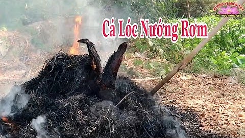 CÁ LÓC NƯỚNG RƠM - Đặc Sản Miền Tây