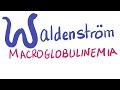 Waldenström Macroglobulinemia | IgM antibody