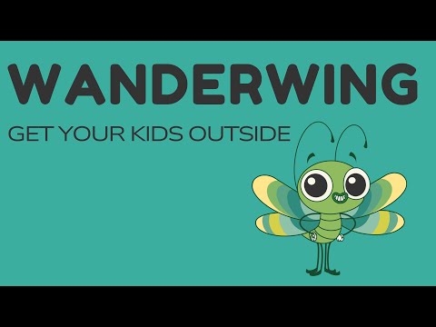 Meet the Wanderwing Gang! Curiosity Has Wings