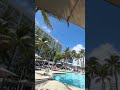 The view in Miami is beautiful ✨💜 #musicbusiness #lifeisbutadream #poolparty #babyrapgod