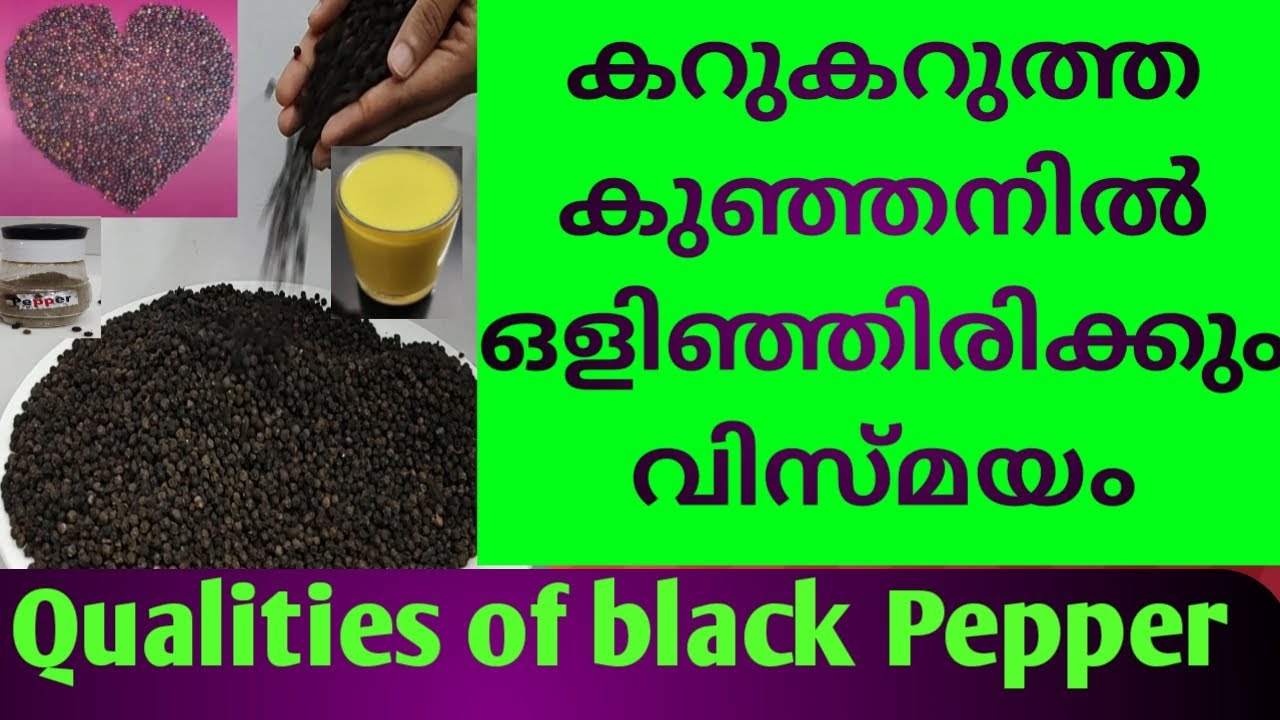 Qualities of black pepper (Malayalam), കറുകറുത്ത കുഞ്ഞനി