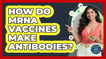 How Do mRNA Vaccines Make Antibodies? - All About the Immune System