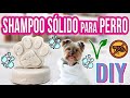 SHAMPOO SÓLIDO PARA PERRO - DIY - ZERO WASTE - VEGANO - Mixi