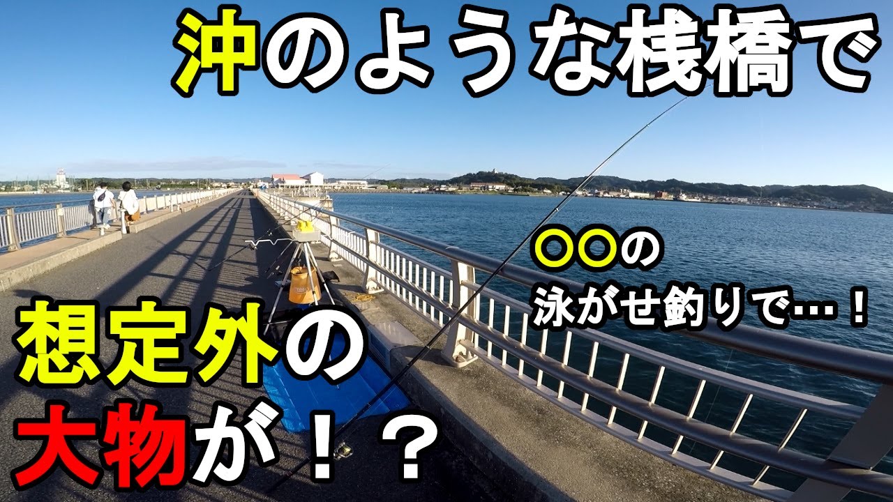 【千葉県某所】沖のような桟橋で想定外の大物が！？初秋の9月中旬、関東地方の房総半島の東京湾側に面している内房にある潮通しの良い桟橋がある釣り場で釣りしてみたら…！【2022.09.16】