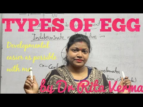 वीडियो: क्या प्रोटोथेरियन अंडे देते हैं?