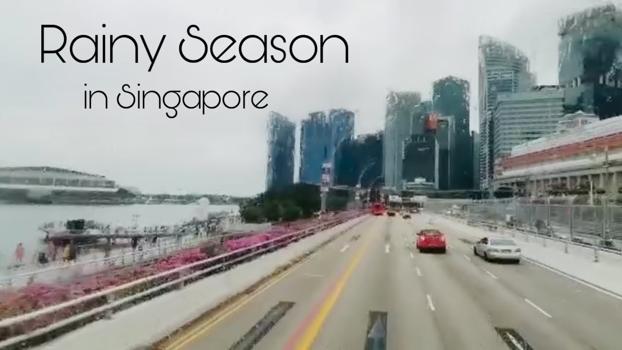 things-to-do-in-singapore-when-it-s-rainy-season-just-hop-on-the-bus