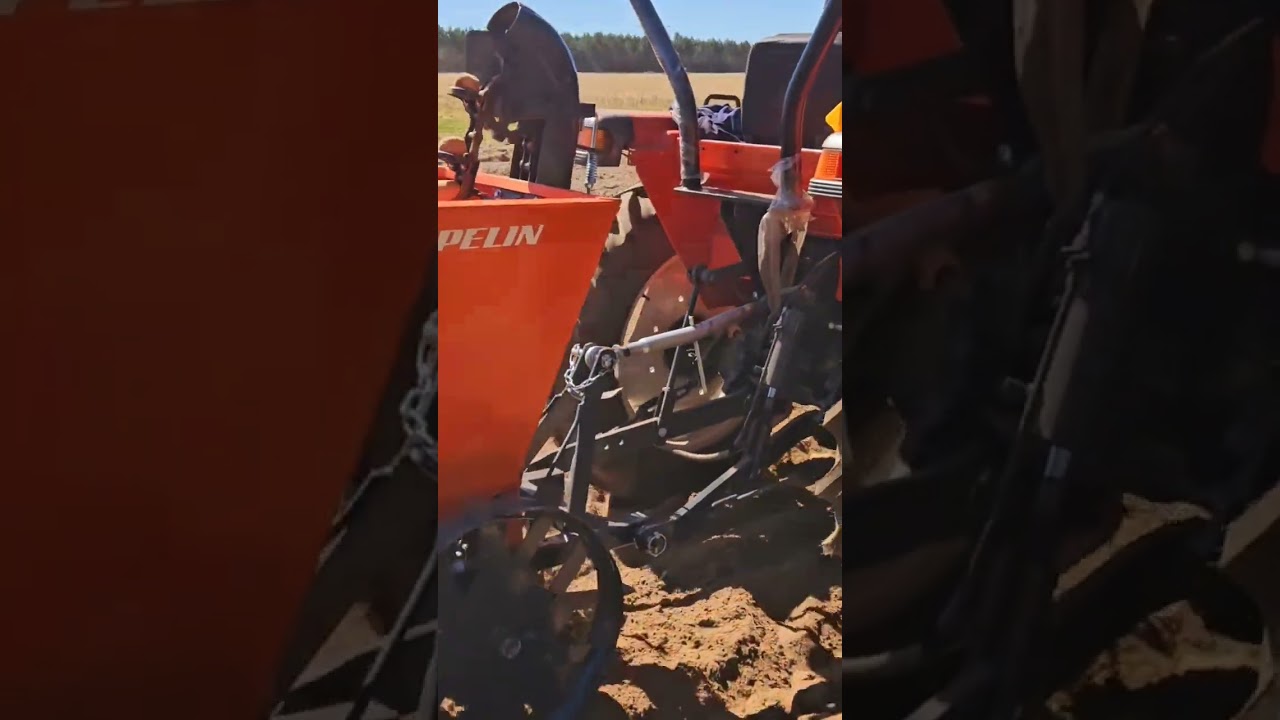 plantation des pommes de terre 