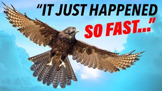 A Shocking God Encounter…With a FALCON?