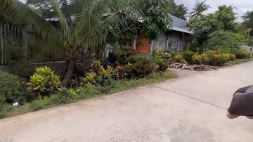 @T1654 Bán Nhà Thổ Cư Đường ÔTô Giá 500 Triệu Gần QL1A Gần Chợ Long Định