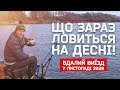 Що зараз ловиться ФІДЕРОМ на ДЕСНІ! Вдалий виїзд у листопаді 2020.