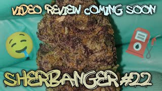 #85 Sherbanger #22( Video Review Coming )Soon Rise Dispensary