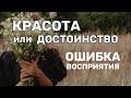 Достоинство. Как его обрести не взирая на внешность? #психология #саморазвитие