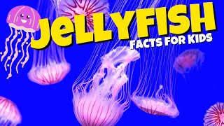 What are Jellyfish? Jellyfish Facts for Kids