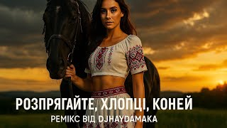 Розпрягайте, хлопці, коней — DJHaydamaka Remix | Українська народна пісня в Electro House стилі