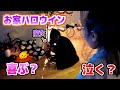 初めてのお家ハロウイン!魔女を見た1歳児の反応は ?