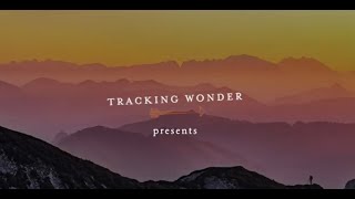 Tracking Wonder Brand Story video 2021 22