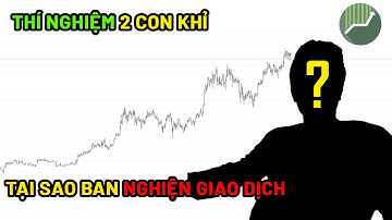 Tại sao Trader nghiện giao dịch và giải pháp từ thí nghiệm 2 con khỉ?
