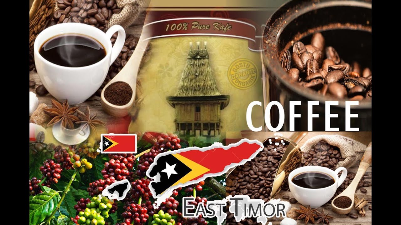 Coffee // Café Híbrido de Timor Leste