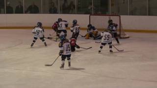 #88 Goal 20091129 Whitby Wildcats 2001 Novice AAA Team 2009-10 Season