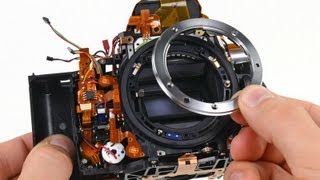 Nikon D600 Teardown