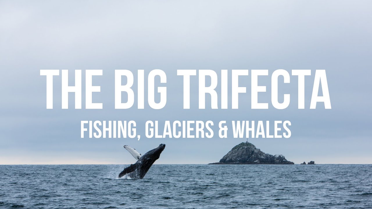 Alaska Bound 12: Seward Trifecta - Fishing, Glaciers & Whales