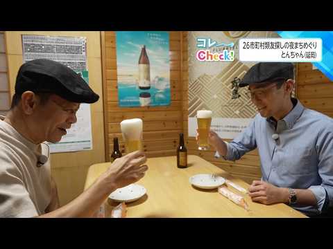 26 Municipalities: The Night Stroll for Finding Friends - Nobeoka Edition
